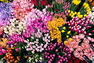 黑白恐怖风《Silt》今春发售 探索深海的秘密